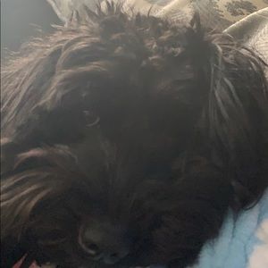 Meet your Posher, Sherry